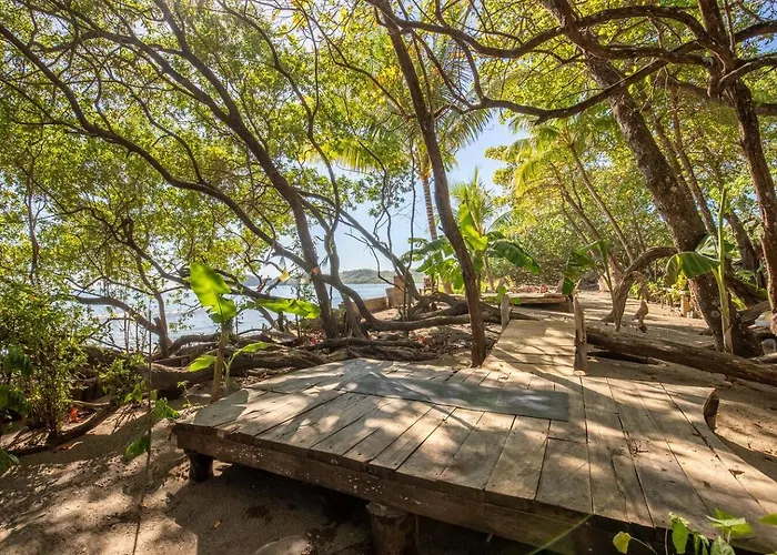 Oceanfront Bamboo *