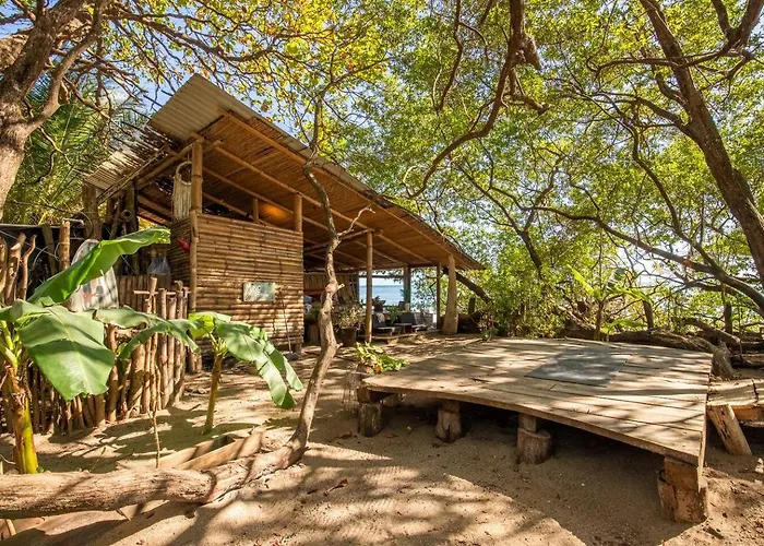 Oceanfront Bamboo *